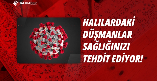 Halılarınızın Üzerindeki Tehlike: Maytlar